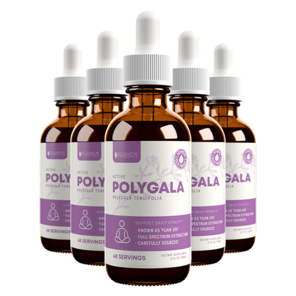 Active Polygala - Advanced Polygala Root Extract