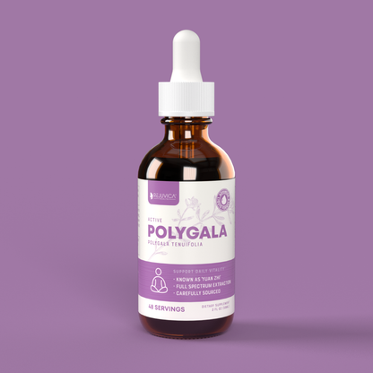 Active Polygala - Advanced Polygala Root Extract